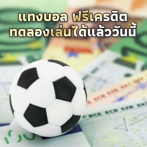 เดิมพันบอลฟรีเครดิต-ncoic.org